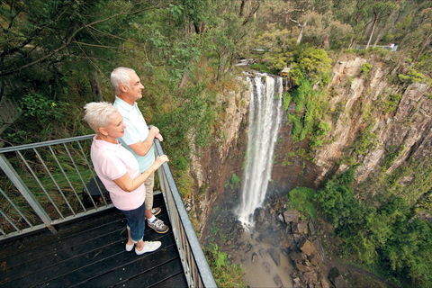 Queen Mary Falls Circuit, Main Range National Park - Bed n Breakfasts 1
