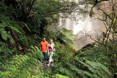 Queen Mary Falls Circuit, Main Range National Park - Bed n Breakfasts 2