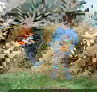 Rain Hayne and Shine Farmyard - Local Tourism