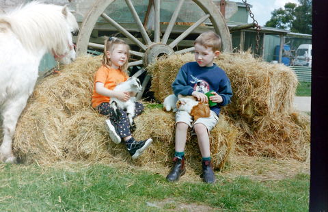 Rain Hayne And Shine Farmyard - Accommodation Australia 0