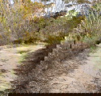 Red Rocks trig walking track - Local Tourism