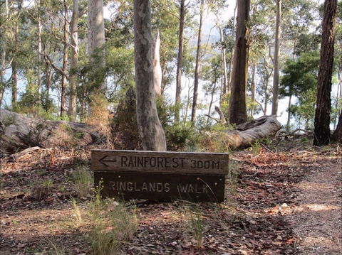 Ringlands Rotary Walk Narooma - Local Tourism 0
