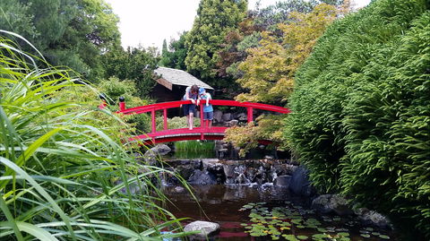 Royal Tasmanian Botanical Gardens - Accommodation Australia 1