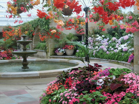 Royal Tasmanian Botanical Gardens - Accommodation Australia 2