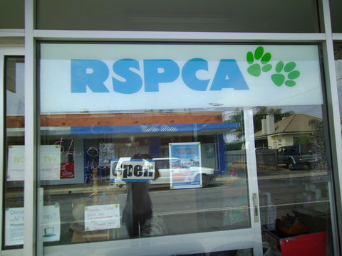 R.S.P.C.A Opportunity Shop - Local Tourism 0