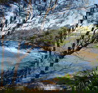 Salmon Haul Reserve Cronulla - Local Tourism