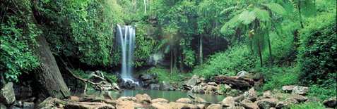 Tamborine National Park - Accommodation Australia 0