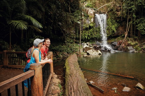Tamborine National Park - Accommodation Australia 1