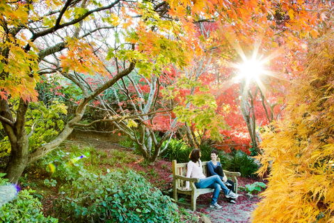 The Blue Mountains Botanic Garden, Mount Tomah - Local Tourism 0