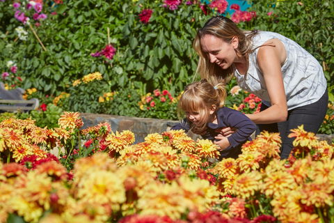 The Blue Mountains Botanic Garden, Mount Tomah - Local Tourism 1