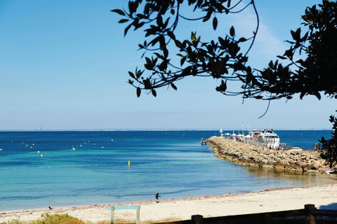 Thomson Bay - Local Tourism 1