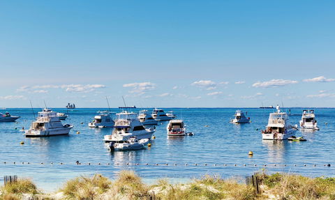 Thomson Bay - Local Tourism 2