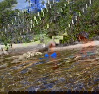 Tjaynera Falls Sandy Creek - Local Tourism