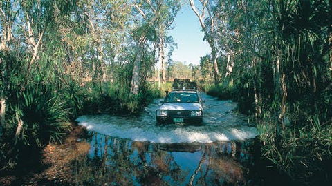 Tjaynera Falls (Sandy Creek) - Local Tourism 1