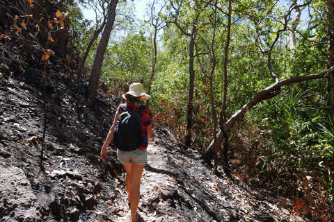 Tjaynera Falls (Sandy Creek) - Local Tourism 2