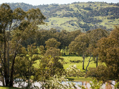 Trawool Valley - Accommodation Australia 0