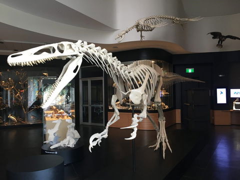 UNE Natural History Museum - Accommodation Australia 0