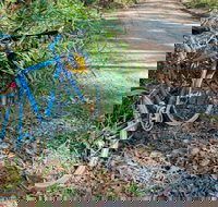 Walter Hood ride from Cudmirrah