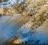 Wandandian Creek picnic area - Local Tourism