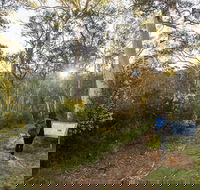 Yarrangobilly Caves  River walk - Accommodation Australia
