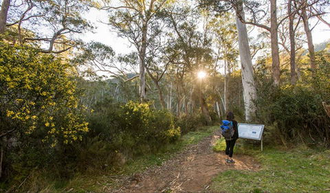 Yarrangobilly Caves – River Walk - Accommodation Australia 0