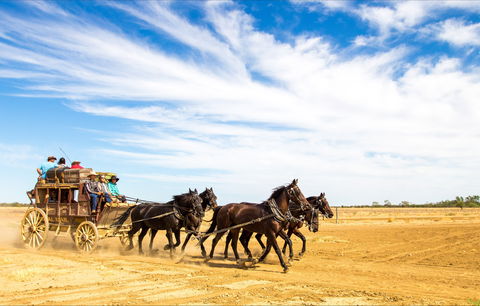 7 Day Outback Giants - Australia Shopping 0