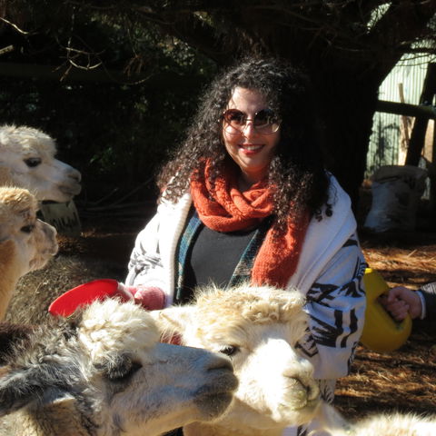 Alpaca Farm Experience At Crookwell - Accommodation Australia 1