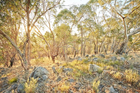 Alpine Views Walk - Accommodation Australia 0