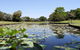Anderson Park Botanic Gardens - thumb 0