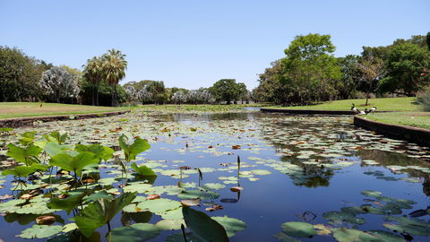 Anderson Park Botanic Gardens - Accommodation Australia 0