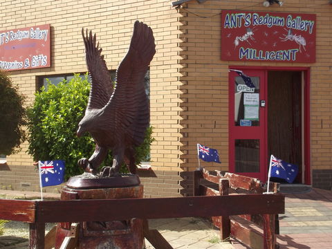 Ant's Redgum Gallery - Accommodation Australia 0