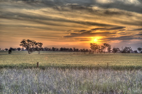 Ardlethan - Accommodation Australia 2