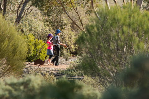 Australian Arid Lands Botanic Garden - Local Tourism 0