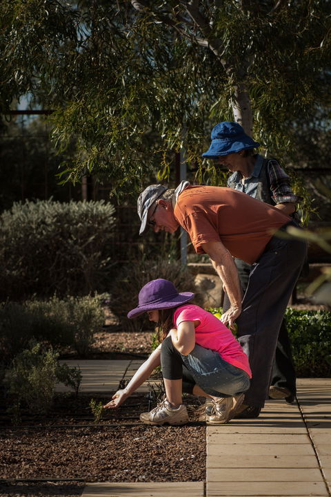 Australian Arid Lands Botanic Garden - Local Tourism 1