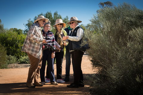Australian Arid Lands Botanic Garden - Local Tourism 2
