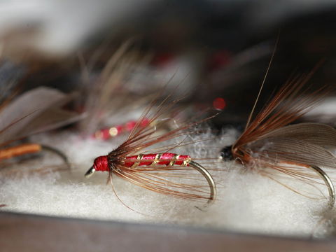 Australian Fly Fishing Museum - Accommodation Australia 0