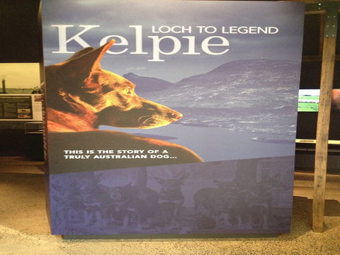 Australian Kelpie Centre - Accommodation Australia 1