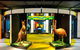 Australian Sports Museum - thumb 0