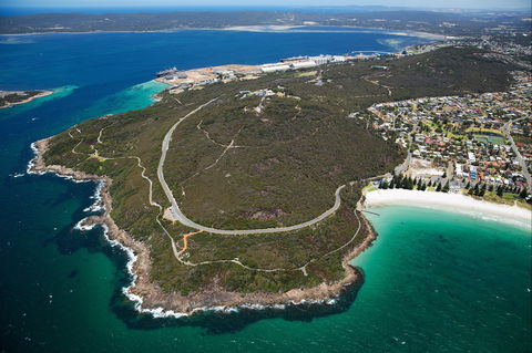 Avenue Of Honour - Accommodation Australia 0