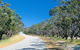 Avenue Of Honour - thumb 1