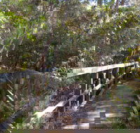 Awaba Bay Foreshore Walk - Accommodation Australia
