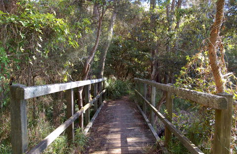 Awaba Bay Foreshore Walk - Australia Shopping 0