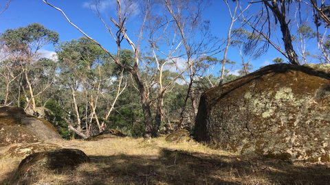 Bailey's Rocks - Dergholm State Park - Accommodation Australia 0