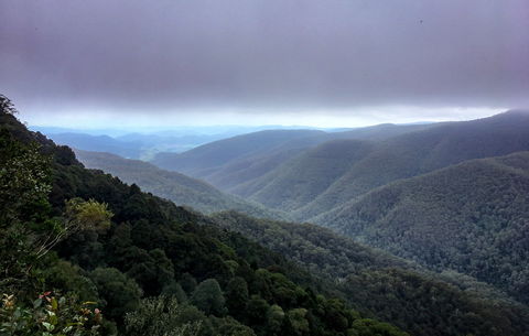 Barrington Tops State Forest - Accommodation Australia 2