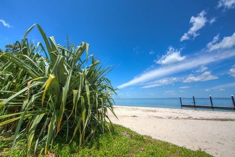 Bongaree Walkabout - Accommodation Australia 0