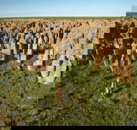 Borroloola - Local Tourism