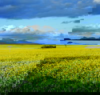 Borden - Local Tourism