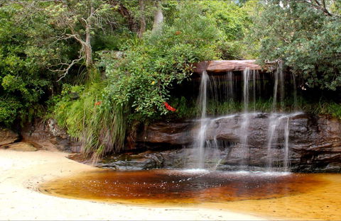 Collins Flat Beach - Accommodation Australia 0