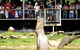 Crocodylus Park And Zoo - thumb 0