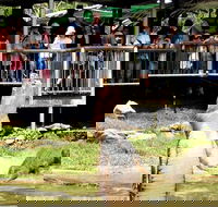 Crocodylus Park and Zoo - Accommodation Australia